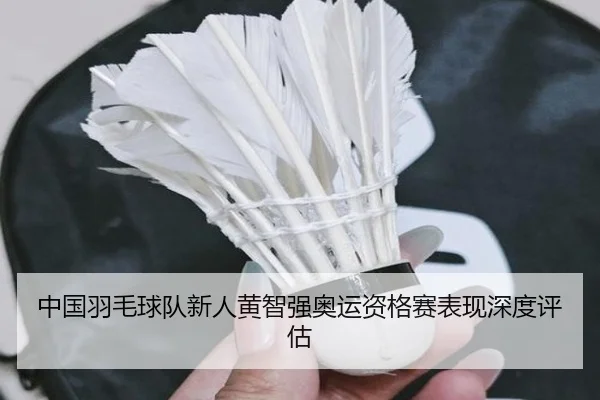 中国羽毛球队新人黄智强奥运资格赛表现深度评估